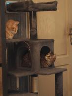 Poes en kater, Dieren en Toebehoren, 3 tot 5 jaar