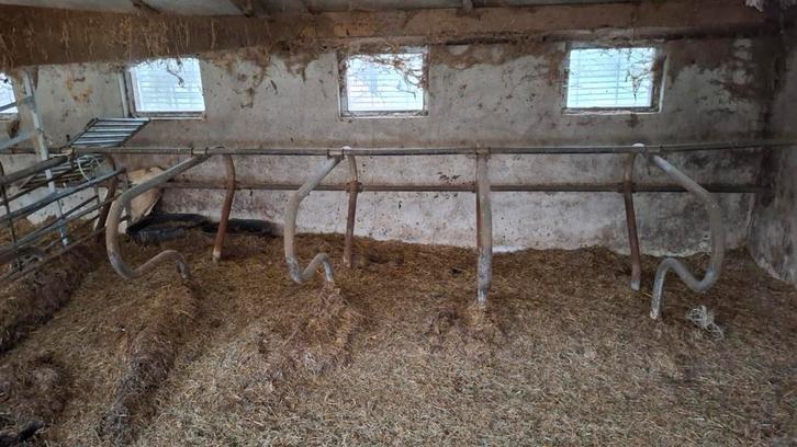 Ligboxafscheidingen en voerhekken - zelf demonteren, Zakelijke goederen, Agrarisch | Tractoren, Gebruikt, Ophalen of Verzenden