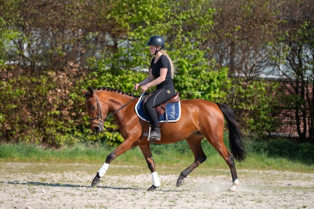 Prachtige, super brave allround E pony!️, Dieren en Toebehoren, Pony's, Merrie, Ontwormd, 3 tot 6 jaar