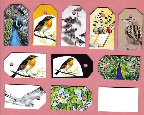 0137) vogels labeltjes, Ophalen of Verzenden, Zo goed als nieuw, Vogel, Opgezet dier