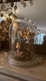 Mooie luxe stolp met vlinders, Ophalen, Zo goed als nieuw