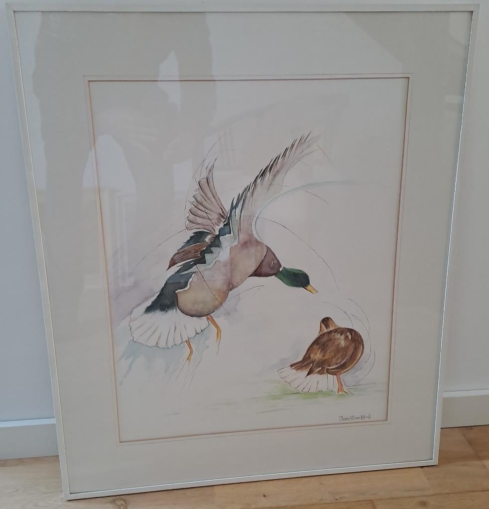 aquarel door Jan Daalhof, Ophalen