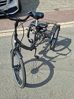 Pfautec Lano FM driewieler met motor, Fietsen en Brommers, Fietsen | Driewielfietsen, Ophalen, Nieuw