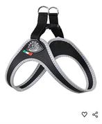 Tre Ponti hondenband, Ophalen of Verzenden, Zo goed als nieuw