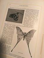 1922, NATURA ARTIS MAGISTRA, AMSTERDAM, Ophalen of Verzenden