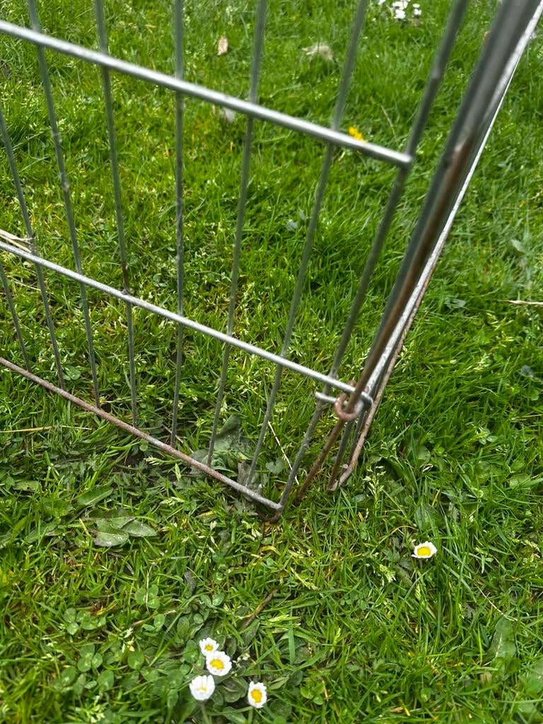 Konijnenren, Dieren en Toebehoren, Ophalen, 60 tot 90 cm, Konijn, Ren