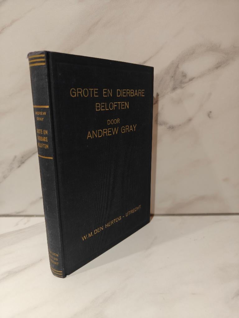 Andrew Gray: Grote en dierbare beloften, Boeken, Ophalen of Verzenden, Gelezen, Christendom | Protestants