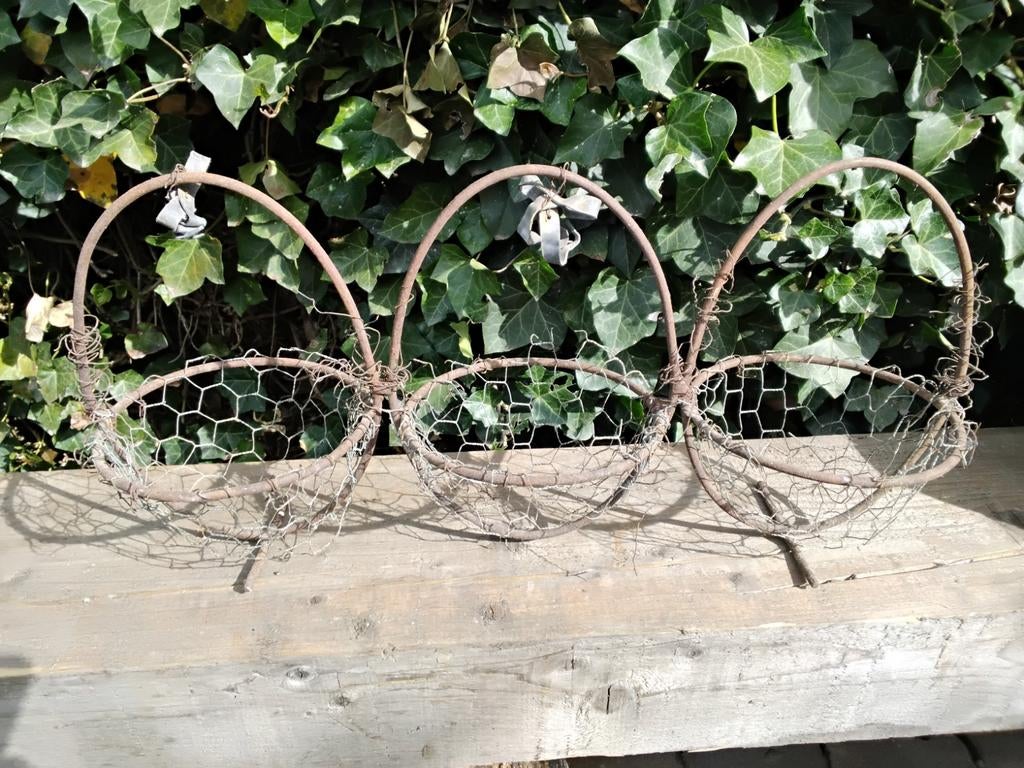 Metalen frame voor bloemschikken, Gebruikt, Minder dan 30 cm, Minder dan 60 cm, Ophalen of Verzenden