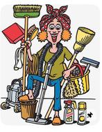 Gezocht; serieuze schoonmaakster, Overige vormen, Vanaf 1 jaar, Overige niveaus, Geschikt als bijbaan