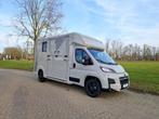 Opel Movano AKX S3 nieuw paardenwagen Automaat Pro-safety he, Dieren en Toebehoren, Paarden en Pony's | Trailers en Aanhangwagens
