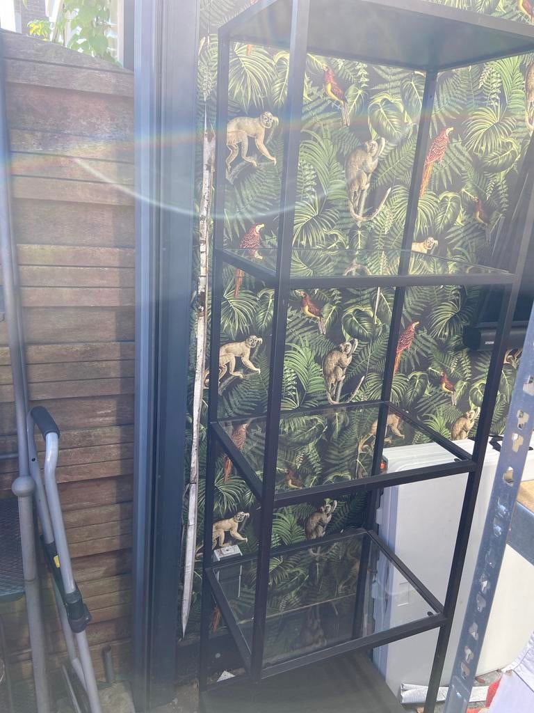 Stalen vitrinekast met glasplaten - 174x51 cm, Ophalen, Met plank(en), Gebruikt, 50 tot 100 cm