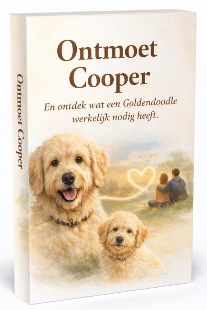Ontmoet Cooper! Een Goldendoodle opvoeden hoeft geen project, Ophalen of Verzenden, Honden