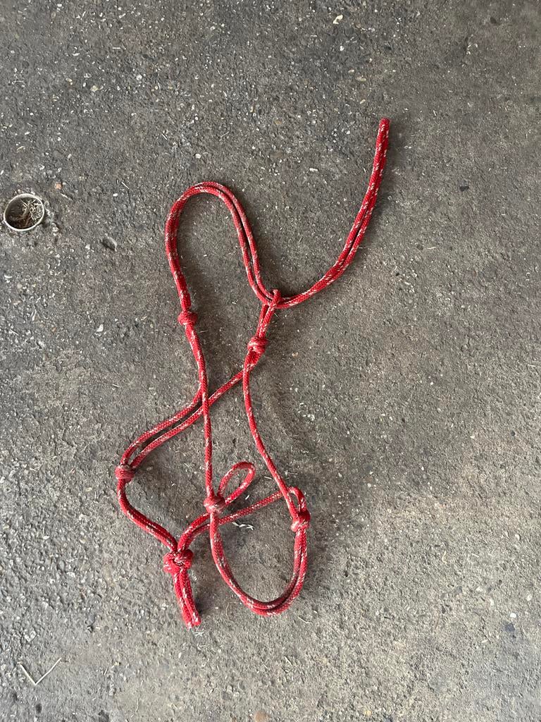 Rood touw halster, Dieren en Toebehoren, Ophalen of Verzenden, Zo goed als nieuw, Recreatie
