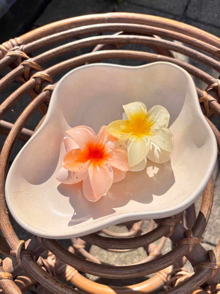 Uniek schaaltje van Zara Home, Porselein of Keramiek, Schaal, Ophalen of Verzenden, Zo goed als nieuw