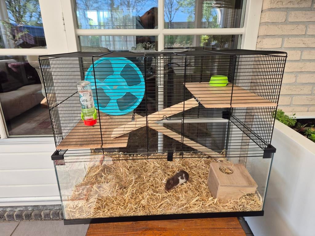 Mooie grote kooi zgan, Dieren en Toebehoren, Minder dan 60 cm, Kooi, Minder dan 75 cm, Ophalen of Verzenden