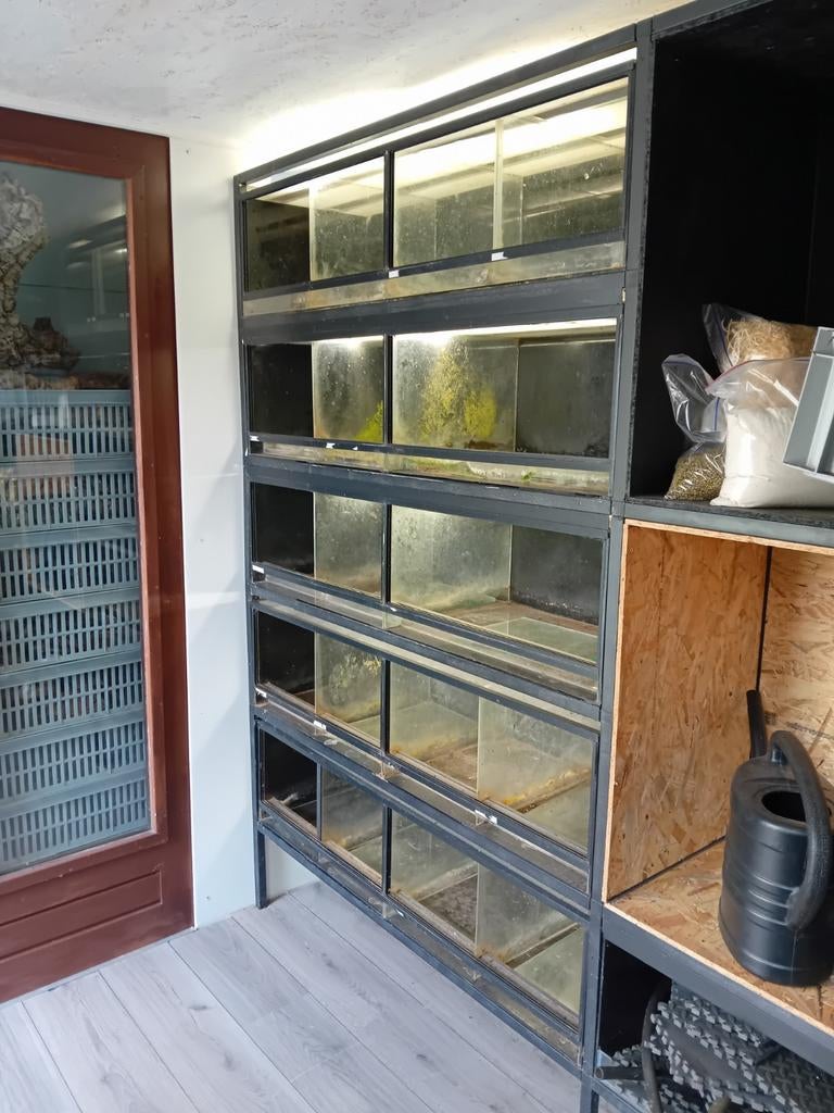 Terrarium / paludarium stelling 18 verblijven., Ophalen