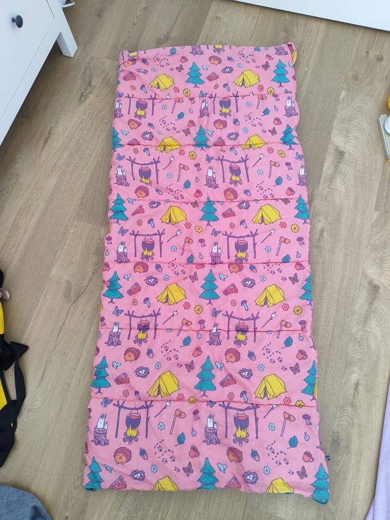 2 Kinderslaapzakken, Caravans en Kamperen, Slaapzakken, Ophalen of Verzenden, Zo goed als nieuw