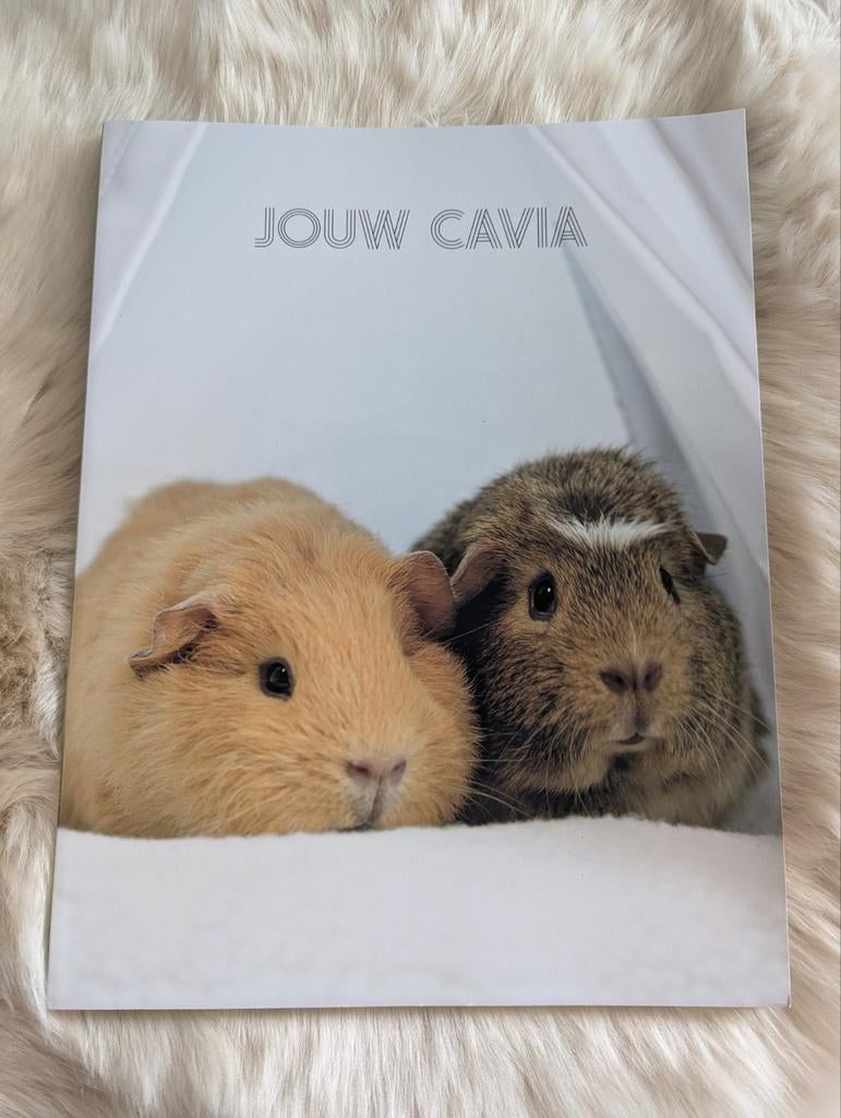 Jouw Cavia boek (inclusief leuke hooizak!), Boeken, Ophalen of Verzenden, Zo goed als nieuw