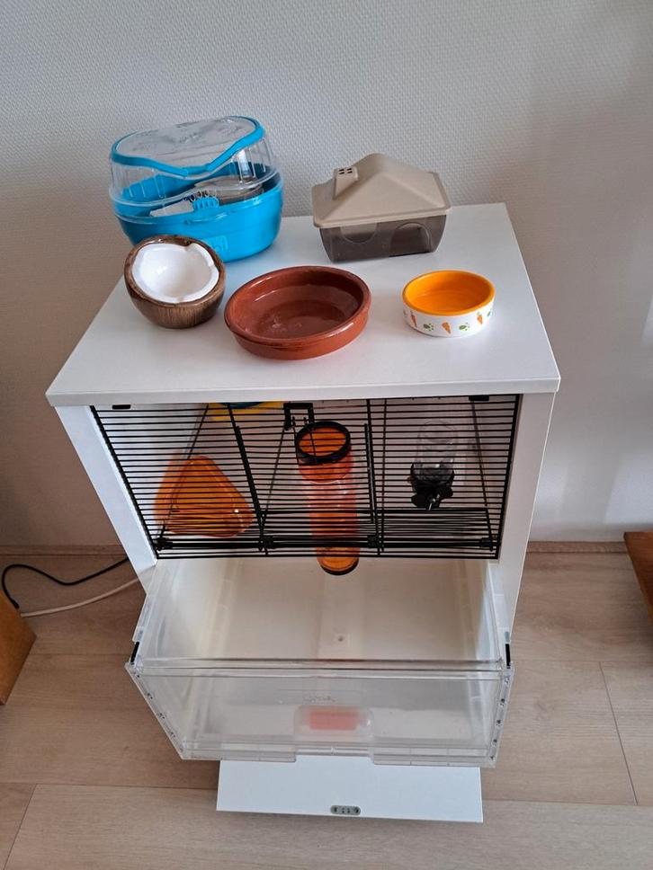 Kooi dwerghamster., Dieren en Toebehoren, Knaagdieren en Konijnen | Hokken en Kooien, Kooi, Minder dan 60 cm, Minder dan 75 cm