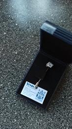 fnv speld, Ophalen of Verzenden, Nieuw, Goud, Zilver