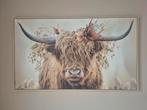 Schilderij met Schotse Hooglander, Ophalen of Verzenden