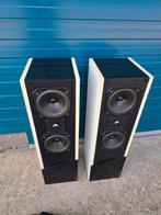 Audiolab thesis, Ophalen, Gebruikt, 60 tot 120 watt, Front, Rear of Stereo speakers