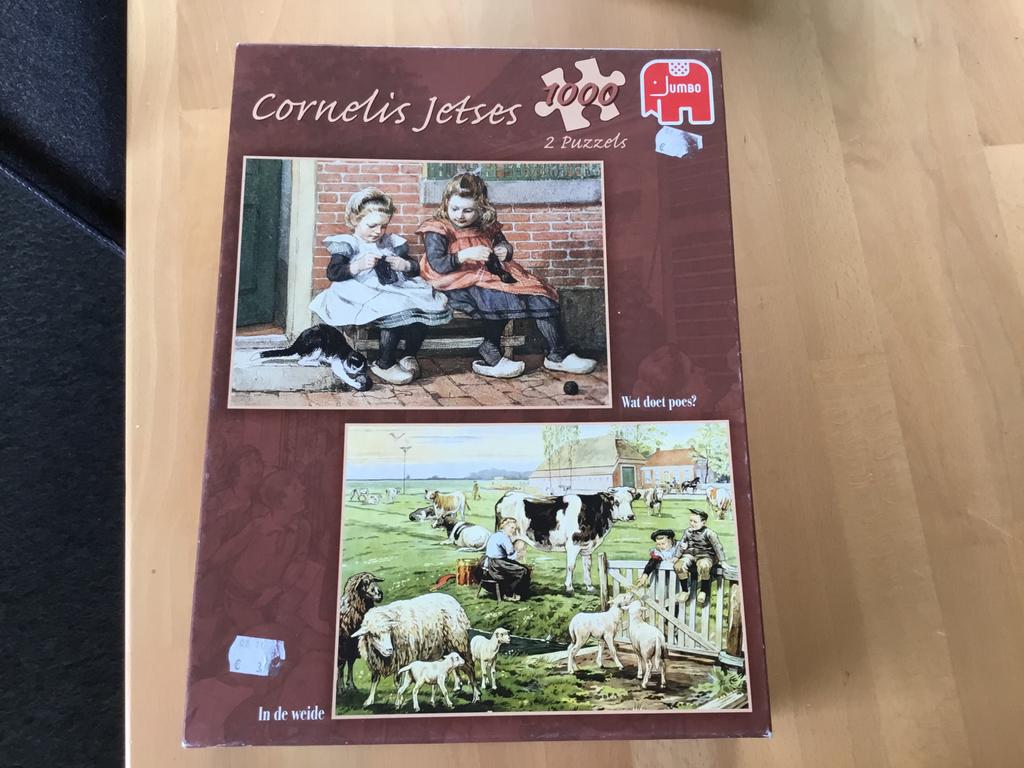 Cornelis Jetses Puzzel 1000 Stukjes - 2 Puzzels, Hobby en Vrije tijd, Denksport en Puzzels, Ophalen, 500 t/m 1500 stukjes, Gebruikt