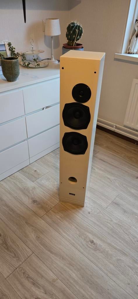 Te koop aangeboden: 2 Hepta Street luidsprekers, Audio, Tv en Foto, Luidsprekers, Zo goed als nieuw, 120 watt of meer, Front, Rear of Stereo speakers