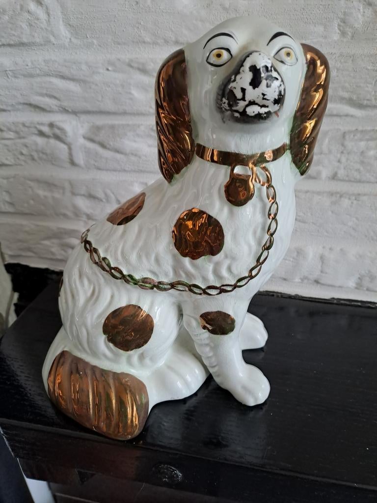 Schippers hondje, Ophalen of Verzenden, Gebruikt