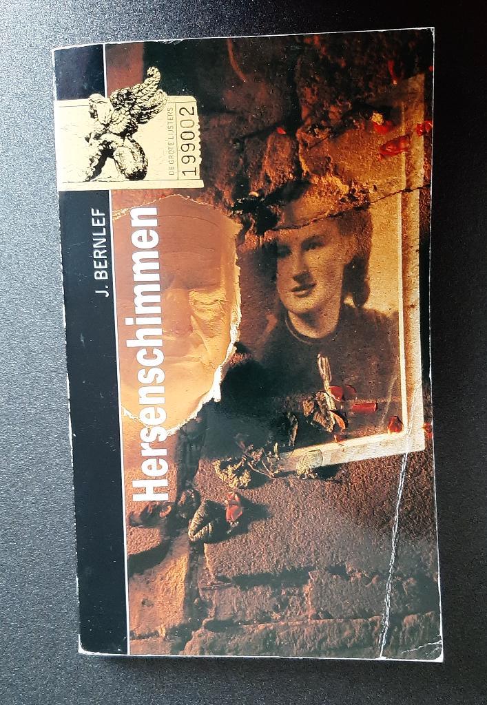J. Bernlef - Hersenschimmen, Boeken, Literatuur, Gelezen, Nederland, Ophalen of Verzenden