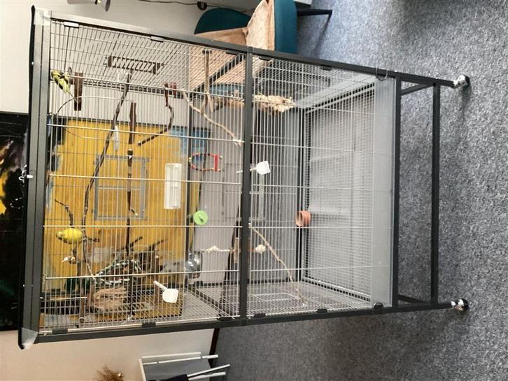 Te koop Prachtige kort gebruikte Montanna 90, Dieren en Toebehoren, Vogels | Hokken en Kooien, Nieuw, Vogelkooi, Hout, Ophalen of Verzenden