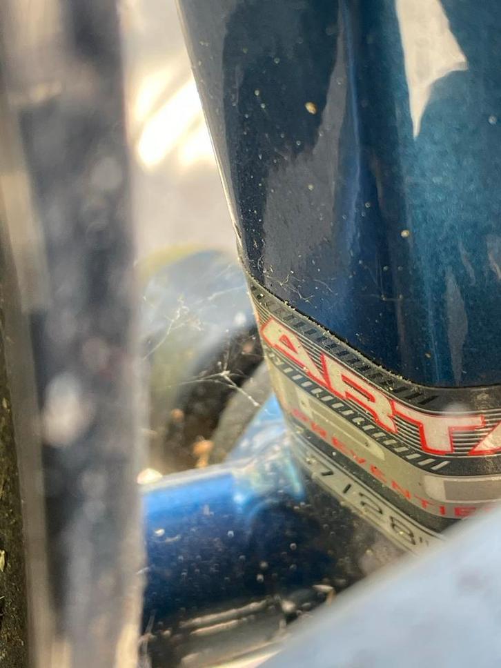 Sparta Papazone fiets, Fietsen en Brommers, Fietsen | Dames | Damesfietsen, Gebruikt, Sparta, Versnellingen, 56 cm of meer, velgrem