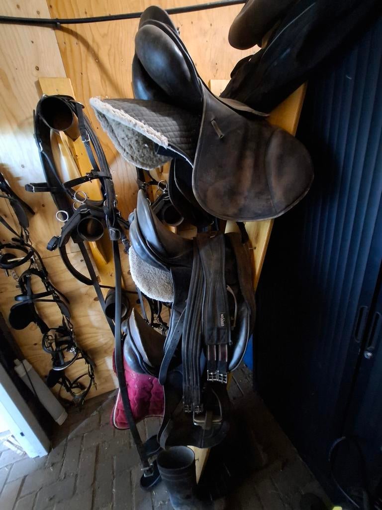 Veelzijdigheid zadels te koop, Ophalen of Verzenden