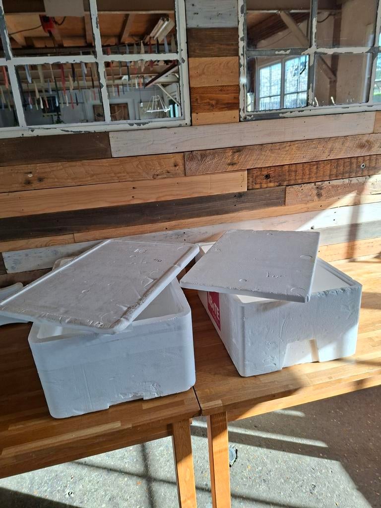 2 tempex koelboxen met 3 koelelementen, Caravans en Kamperen, Koelboxen, Ophalen