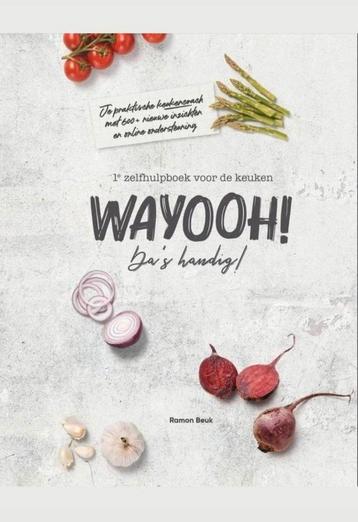 Wayooh! - Ramon Beuk beschikbaar voor biedingen