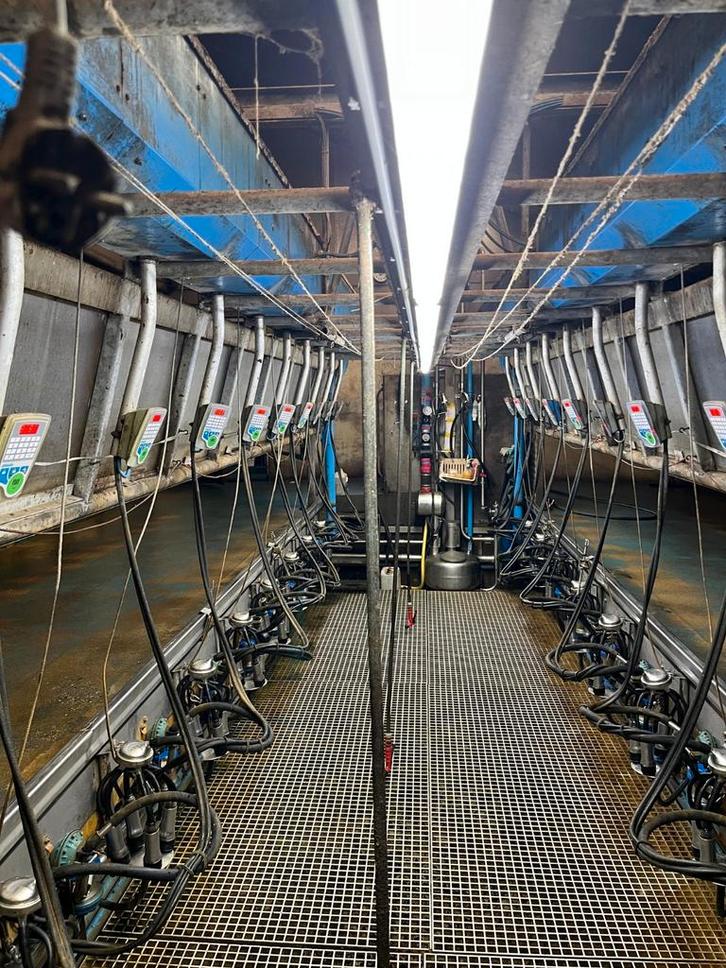 Te koop fullwood 20 stands melkput, Doe-het-zelf en Verbouw, Metalen, Ophalen of Verzenden