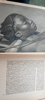 Dr. Paul Julien Kampvuren Langs de Evenaar Bloedonderzoek, Ophalen of Verzenden, 20e eeuw of later, Zo goed als nieuw, Europa
