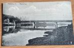 Ansichtkaart Maaseik Maasbrug - Gelopen, Ophalen of Verzenden, Voor 1920, Gelopen, Limburg