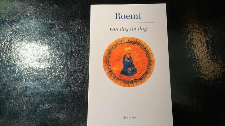 Djelal-Oed-Din Roemi - Roemi van dag tot dag, Boeken, Filosofie, Zo goed als nieuw, Ophalen of Verzenden