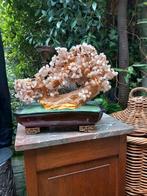 Kunstbonsai, Ophalen of Verzenden