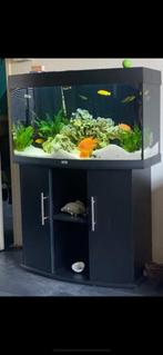 Juwel aquarium. Panorama 180 ltr met onderkast., Dieren en Toebehoren, Ophalen, Gebruikt, Leeg aquarium
