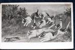 Jachthonden rennen achter vos aan, 1904, H.H. Couldery, Verzenden, Voor 1920, Gelopen, Wild dier
