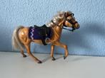 Grand champion arabier, Ophalen of Verzenden, Gebruikt
