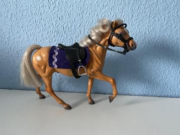 Grand champion arabier beschikbaar voor biedingen