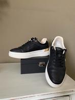 Sneakers Tommy Hilfiger in maat 37, Kleding | Heren, Schoenen, Zwart, Tommy Hilfiger, Ophalen of Verzenden, Sneakers of Gympen