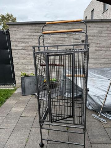 Papegaaien kooi/ vogelkooi beschikbaar voor biedingen