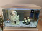 Aquarium met een vis voor liefhebber, Boeken, Ophalen, Zo goed als nieuw, Vissen