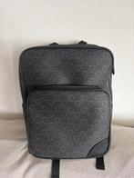Backpack, Sieraden, Tassen en Uiterlijk, Tassen | Rugtassen, Ophalen of Verzenden, Zo goed als nieuw, Overige merken