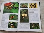Vlinder encyclopedie Wijbren Landman, Verzenden, Zo goed als nieuw, Natuur algemeen