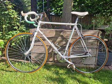 Raleigh Action Elan Sport Motion 501 Reynolds Retro beschikbaar voor biedingen